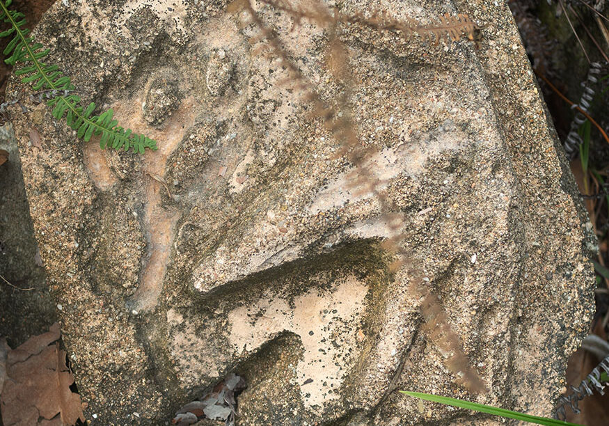 Mixed media cement. Cassowary plaque by Italo Giardina FNQ, Townsville, dry tropics gallery