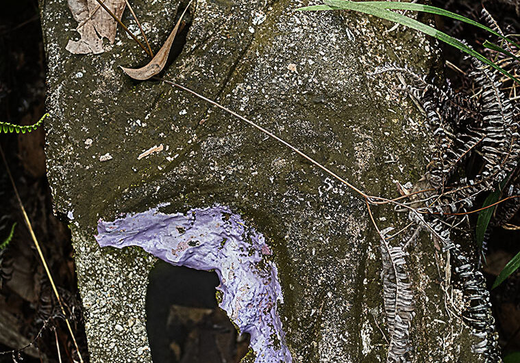 Mixed media cement. Cassowary plaque by Italo Giardina FNQ, Townsville, dry tropics gallery