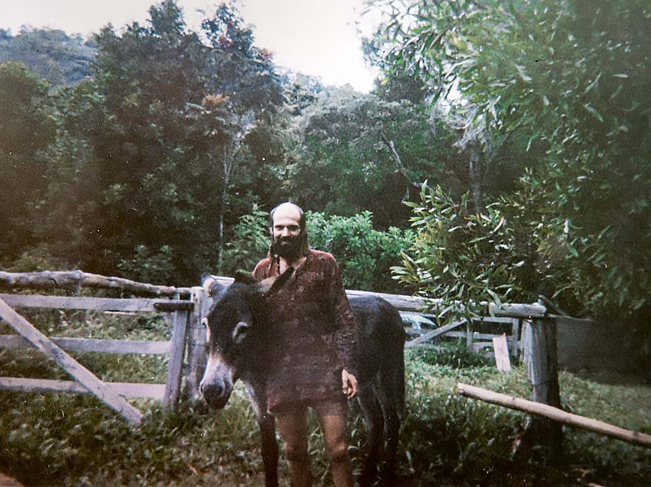 pack donkey adventure