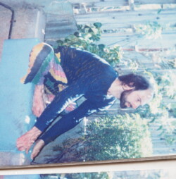 artwork by I. Giardina