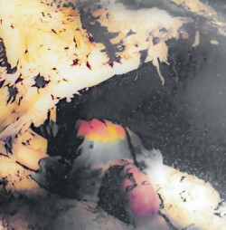 artwork by I. Giardina