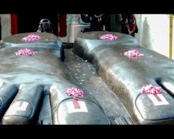 How walkers transcend the mundane. How walkers transcend the mundane.