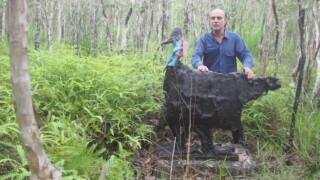 Pigawary sculptural Pigawary sculptural