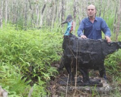 Pigawary sculptural Pigawary sculptural