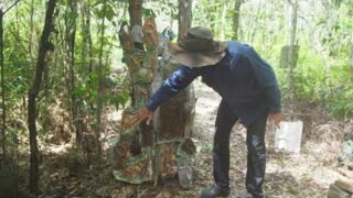Yogic inversion posture, sculptural depiction. Yogic inversion posture, sculptural depiction.