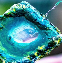 VW binary animation VW binary animation