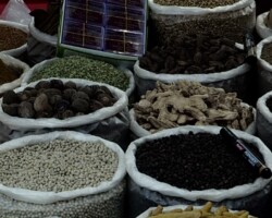 Goa, India, a traveler perspective. Goa, India, a traveler perspective.